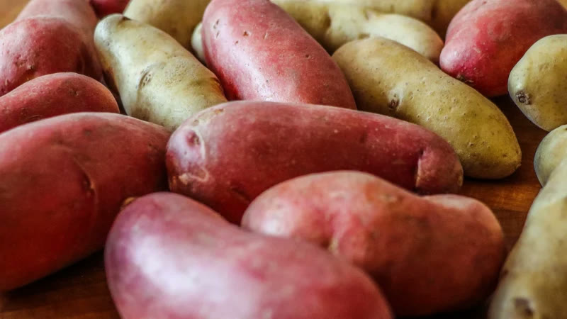 Patatas rojas y amarillas sin pelar